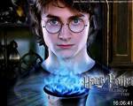 Harry.jpg