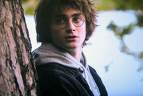Harry3.jpg
